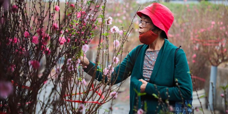 Bộ Tài chính đề xuất phương án nghỉ Tết 9 ngày