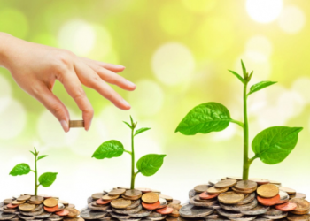 Quỹ đầu tư là gì? Những lưu ý khi tham gia quỹ đầu tư