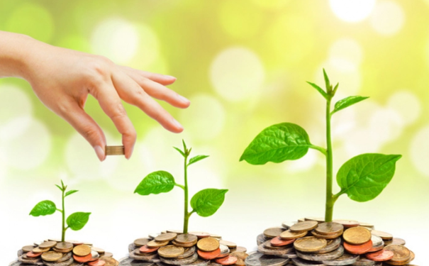 Quỹ đầu tư là gì? Những lưu ý khi tham gia quỹ đầu tư