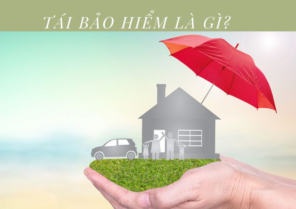 Tái bảo hiểm là gì? Các hình thức tái bảo hiểm hiện nay