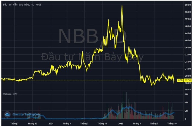 Thị giá rơi 70% kể từ đỉnh, Năm Bảy Bảy (NBB) lên phương án phát hành hơn 50 triệu cổ phiếu đầu tư dự án - Ảnh 2.