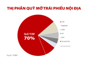 TCBS cùng chiến lược Wealthtech: 9 tháng 2022 lợi nhuận vượt 2.700 tỷ đồng, đạt 81% kế hoạch năm - Ảnh 1.