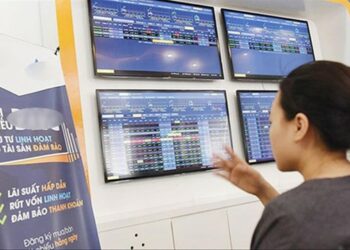 Ai bảo vệ nhà đầu tư? - Ảnh 1.