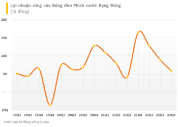 Bóng đèn Rạng Đông (RAL) lãi trước thuế gần 350 tỷ sau 9 tháng, vượt kế hoạch cả năm - Ảnh 1.