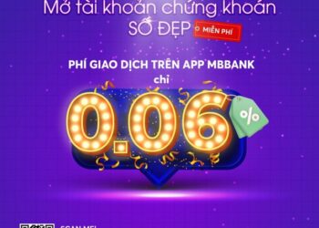 Chọn công ty chứng khoán theo tiêu chí nào để không phải “nơm nớp”? - Ảnh 1.