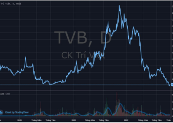 Chứng khoán Trí Việt (TVB) bị phạt do cho phép khách hàng đặt lệnh mua chứng khoán khi không có đủ tiền - Ảnh 1.
