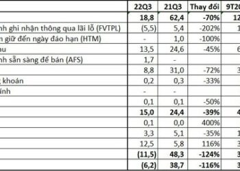 Chứng khoán Trí Việt (TVB) “gồng lỗ” gần trăm tỷ đồng cổ phiếu HPG nhưng chưa ghi nhận vào KQKD - Ảnh 1.