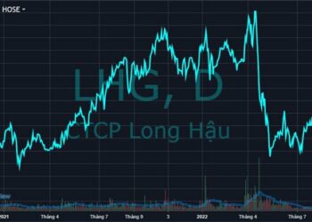 HoSE: Cổ phiếu LHG chỉ được giao dịch trong phiên chiều từ ngày 24/10 - Ảnh 1.