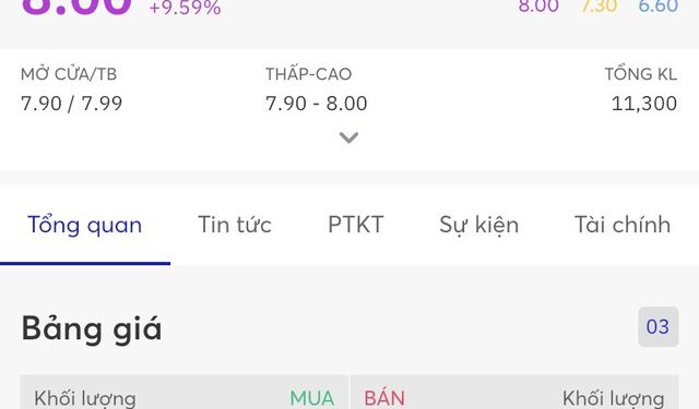 Cổ phiếu xây dựng bất ngờ tăng trần 9 phiên, thị giá gấp 2,3 lần chỉ sau nửa tháng bất chấp đang thuộc diện cảnh báo và kinh doanh thua lỗ 4 quý gần nhất - Ảnh 1.