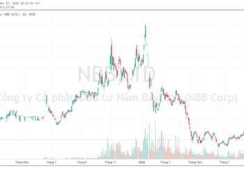 Công ty con của Đầu tư Hạ tầng Kỹ thuật TP. HCM (CII) muốn trở thành cổ đông lớn Năm Bảy Bảy (NBB) - Ảnh 1.