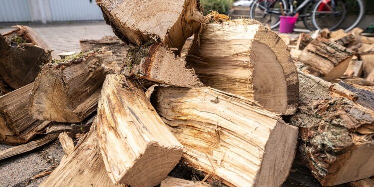 Củi trở thành mặt hàng được săn lùng ở châu Âu trong bối cảnh khủng hoảng nguồn cung năng lượng