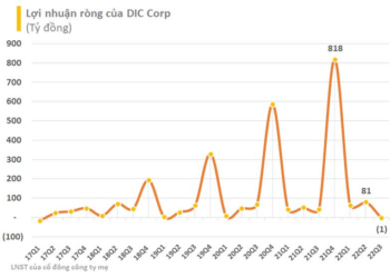 DIC Corp (DIG) báo lỗ trong quý 3 sau lời Chủ tịch khẳng định sẽ hoàn thành kế hoạch 1.900 tỷ LNTT năm nay - Ảnh 1.
