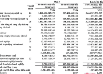 Đầu tư cổ phiếu cùng giá thép giảm, Thép Tiến Lên (TLH) báo lãi quý 3 sụt giảm 94% - Ảnh 1.