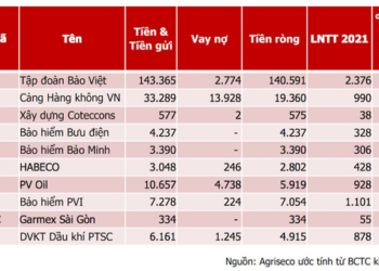 Doanh nghiệp nào hưởng lợi trong bối cảnh lãi suất và tỷ giá tăng cao? - Ảnh 1.