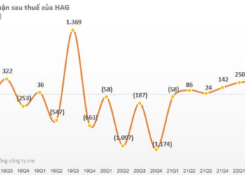 Doanh thu bán thịt heo tăng 200%, Hoàng Anh Gia Lai (HAG) báo lãi quý 3/2022 gấp 17 lần so với cùng kỳ - Ảnh 1.