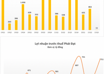 Doanh thu vỏn vẹn 11 tỷ, vì sao Phát Đạt (PDR) vẫn lãi ròng hàng trăm tỷ đồng quý 3? - Ảnh 1.