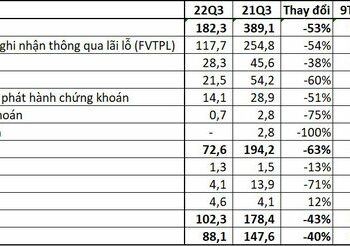 Dư nợ margin tăng gấp đôi, lợi nhuận sau thuế của VIX giảm 40% trong quý 3 - Ảnh 1.