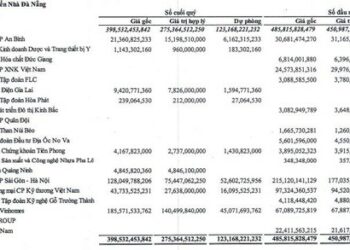 Đừng buồn vì “thua” chứng khoán, nhiều DN lấy tiền nhàn rỗi đầu tư cổ phiếu thậm chí đang lỗ cả trăm tỷ đồng - Ảnh 1.