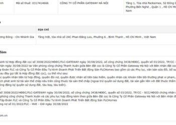 FLC và FLCHomes đã mua lại toà Bamboo Airways và dự kiến bán cho một bên khác với giá 2.000 tỷ đồng - Ảnh 1.