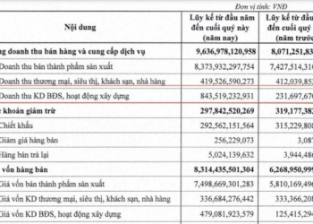 Ghi nhận doanh thu đột biến từ bất động sản, Dabaco lãi lớn sau 4 quý liền giảm sâu - Ảnh 1.