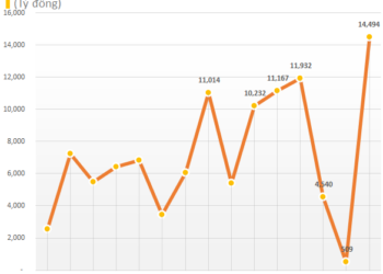Cập nhật BCTC chiều ngày 27/10: Hàng loạt DN ồ ạt công bố, LNTT Đạm Phú Mỹ tăng 200%, Becamex TDC tăng 270%... - Ảnh 1.