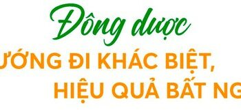 Hành trình xây dựng vùng dược liệu xanh và bước chuyển mình vươn lên vị thế hàng đầu ngành dược của Traphaco - Ảnh 1.