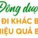 Hành trình xây dựng vùng dược liệu xanh và bước chuyển mình vươn lên vị thế hàng đầu ngành dược của Traphaco - Ảnh 1.