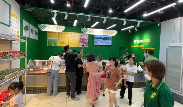 Heo ăn chuối Bapi của Hoàng Anh Gia Lai “cháy hàng” chỉ sau 3h trong ngày đầu “đổ bộ” miền Bắc - Ảnh 1.