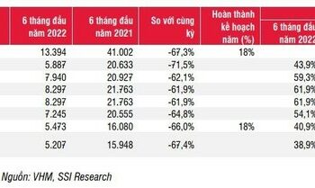 SSI Research: Hơn 80% doanh thu và lợi nhuận của Vinhomes sẽ rơi vào 6 tháng cuối năm - Ảnh 1.