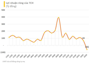 Hụt thu từ mảng ô tô và bất động sản, Tài chính Hoàng Huy (TCH) lần đầu báo lỗ kể từ khi niêm yết, vẫn còn hơn 7.500 tỷ đồng tiền gửi ngân hàng - Ảnh 1.