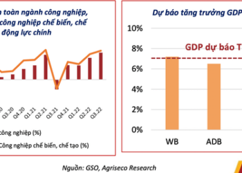 Agriseco: Khoảng 70% cổ phiếu trong nhóm VN-30 đang ở vùng giá hấp dẫn - Ảnh 1.