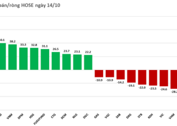 Khối ngoại mua ròng 5/5 phiên trong tuần, giá trị hơn 2.700 tỷ - Ảnh 1.