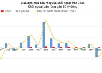 Khối ngoại quay lại bán ròng gần 80 tỷ đồng - Ảnh 1.