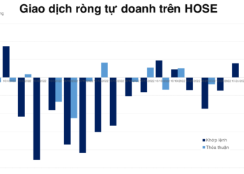Khối tự doanh mua ròng tiếp phiên thứ 2 trên HOSE - Ảnh 1.