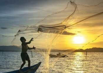 Lạm phát có dấu hiệu đạt đỉnh, chứng khoán đã thực sự tạo đáy?