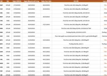 Lịch chốt quyền cổ tức, thưởng, chào bán cổ phiếu tuần 17/10 - 21/10 - Ảnh 1.