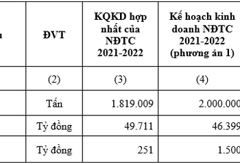 HSG: Lợi nhuận sau thuế hợp nhất NĐTC 2021-2022 đạt 251 tỷ đồng - Ảnh 1.
