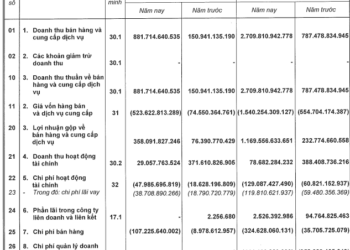 Một DN bất động sản báo lãi sụt giảm 83% trong quý 3 trong khi doanh thu tăng đột biến 484% - Ảnh 1.
