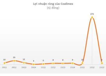 Một công ty buôn than lãi đột biến gần 300 tỷ đồng trong 9 tháng 2022, gấp 15 lần cùng kỳ, EPS hơn 26.000 đồng/cp - Ảnh 1.