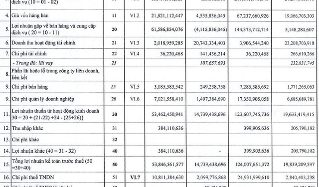 Một doanh nghiệp vui chơi giải trí báo lãi quý 3 tăng trưởng 242%, đem 21 tỷ đồng đầu tư cổ phiếu DNP - Ảnh 1.