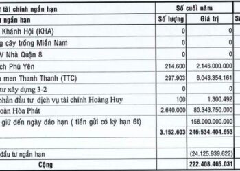 Ôm hàng triệu cổ phiếu HPG, một doanh nghiệp báo lãi 9 tháng giảm 29% do trích lập dự phòng - Ảnh 1.