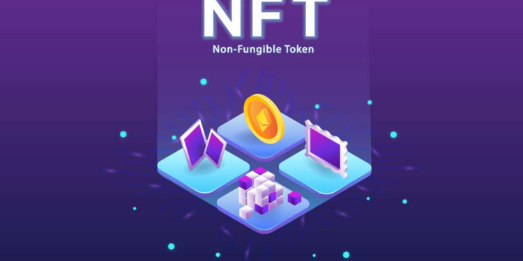 PussyDAO sử dụng Solana NFT để bán đồ lót