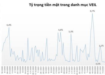 Quỹ lớn nhất do Dragon Capital quản lý nâng lượng tiền mặt lên cao nhất trong 5 tháng, quy mô danh mục giảm 10.000 tỷ đồng sau 5 tuần - Ảnh 1.