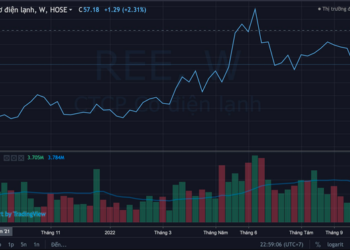 Quỹ ngoại Singapore muốn gom thêm gần 5 triệu cổ phiếu REE - Ảnh 1.