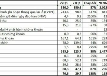 Sau một quý lỗ kỷ lục, Chứng khoán TPS (ORS) báo lãi sau thuế quý 3/2022 gấp 2,4 lần cùng kỳ - Ảnh 1.