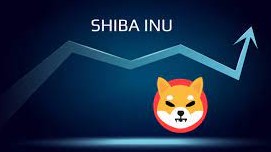 Cộng đồng Shiba Inu bùng nổ, SHIB đã sẵn sàng cho sự trở lại chưa? h3