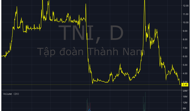 Sử dụng 54 tài khoản để thao túng cổ phiếu TNI, một cá nhân bị UBCKNN xử phạt hơn nửa tỷ đồng - Ảnh 1.