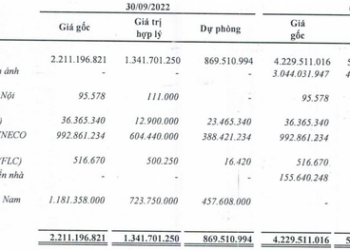 Thêm một doanh nghiệp sách đem tiền đi đầu tư cổ phiếu, hiện đã thua lỗ và phải trích lập gần 40% danh mục - Ảnh 1.