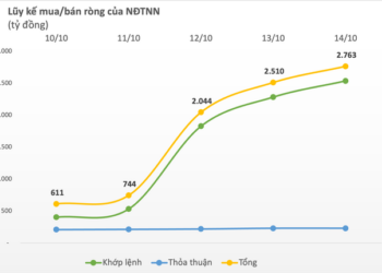 Thị trường chứng khoán phục hồi, khối ngoại trở lại mua ròng gần 2.800 tỷ đồng trong tuần 10-14/10 - Ảnh 1.