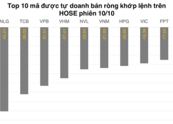 Tự doanh rút ròng mạnh nhất trong 4 phiên liền trên HOSE - Ảnh 1.